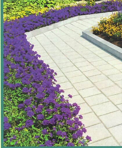 Allée pavée et massif fleuri